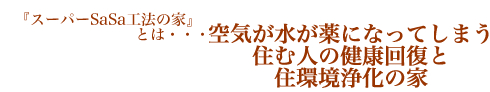 スーパーSaSa工法の家とは